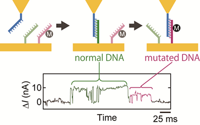 The single-molecule detection of mutated DNA.